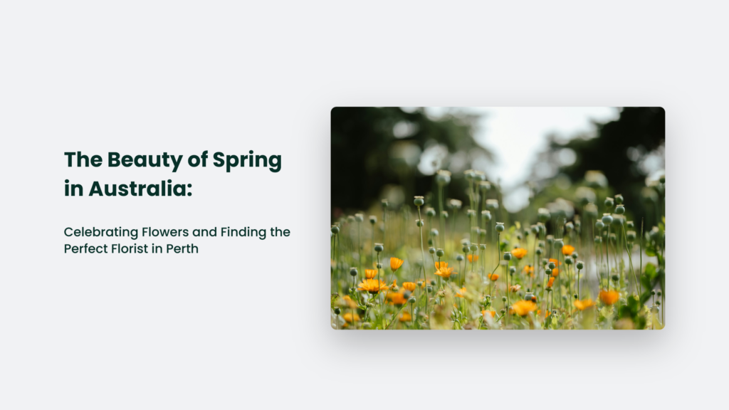 A Field Of Vibrant Green And Orange Flowers With A Blurred Background Highlights The Spring Beauty Of Australia. Discover The Enchanting Blooms With A Local Florist In Perth, Bringing The Essence Of Spring In Australia To Life.