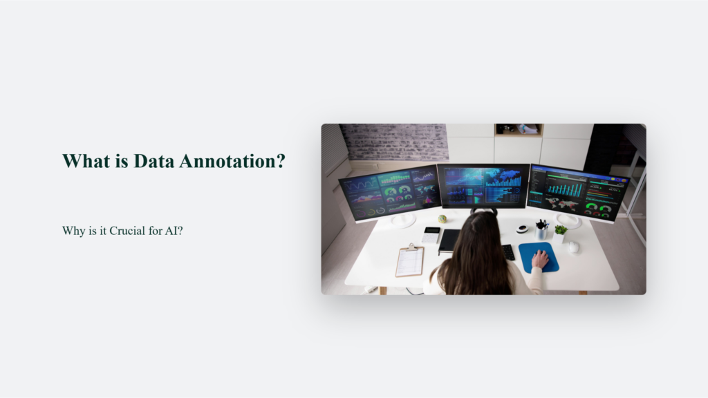 What Is Data Annotation, And Why Is It Crucial For Ai? What Is Data Annotation