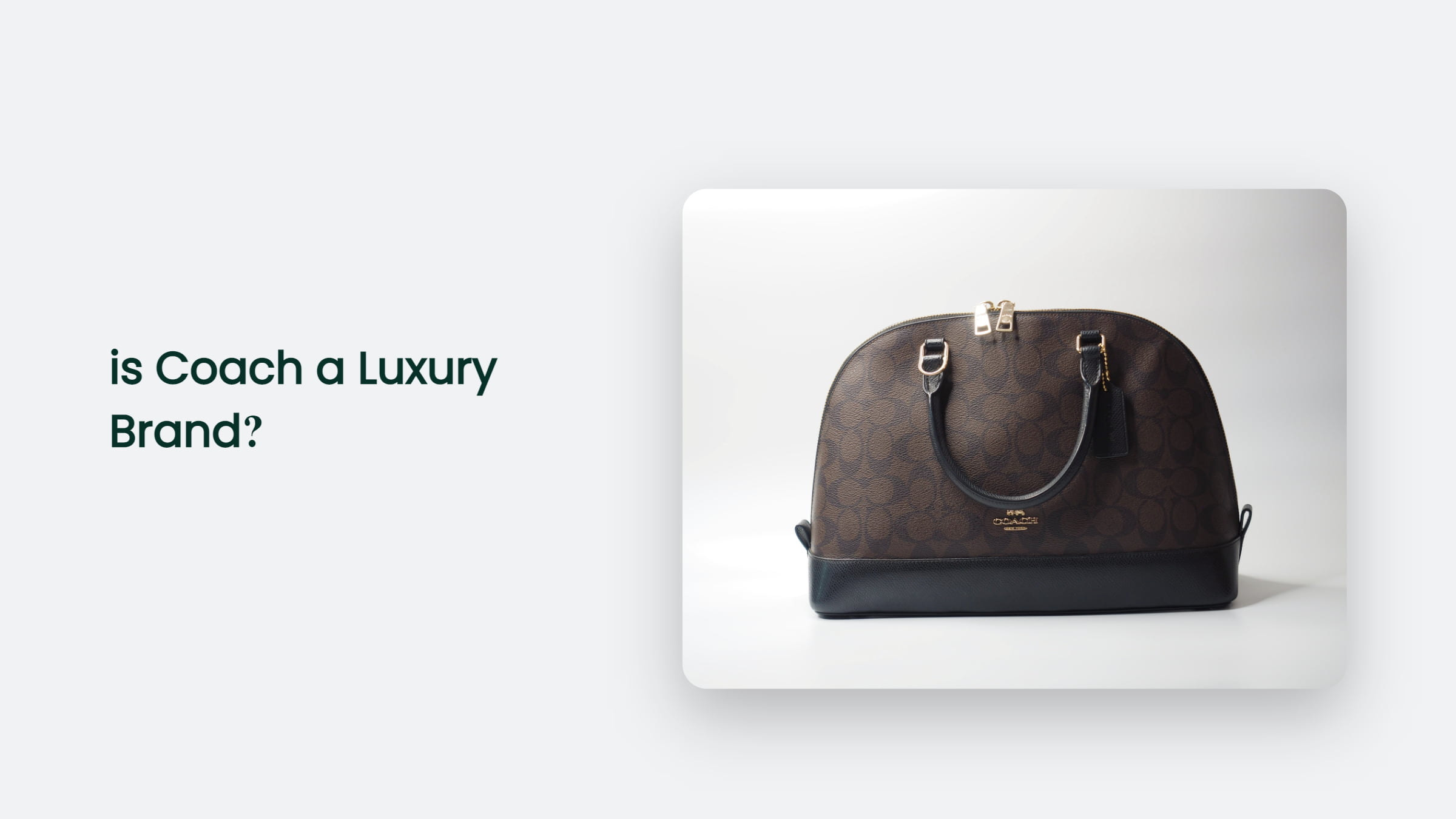 Is Coach A Luxury Brand? The Answer You Needed | CJ&CO